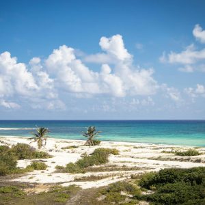Sabores Isleños de Cozumel