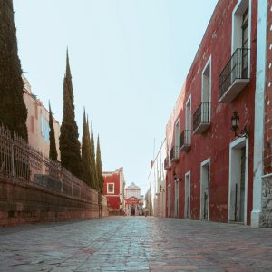 Sabores Tradicionales de Real de Asientos